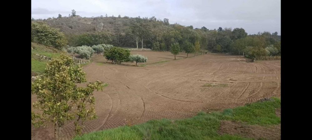 Terreno com 1,6h e viabilidade de construção apoio agricola