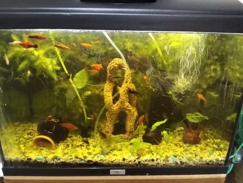 Продам акваріум.