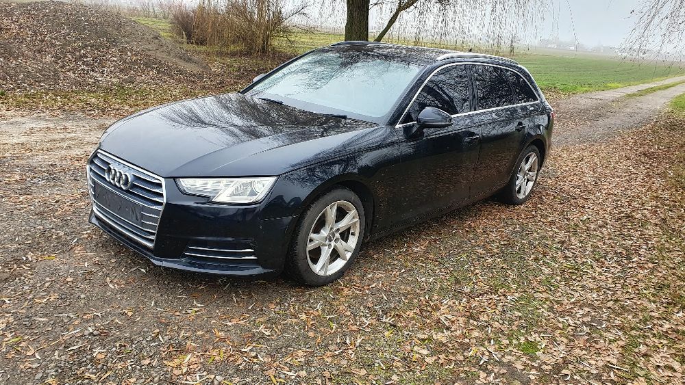 Audi a4 b9 8W Kolor LY9T Drzwi Maska Błotnik Zderzak Lampa ŁADNE Klapa