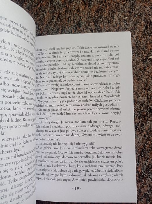 Kocurek stani Ben budar