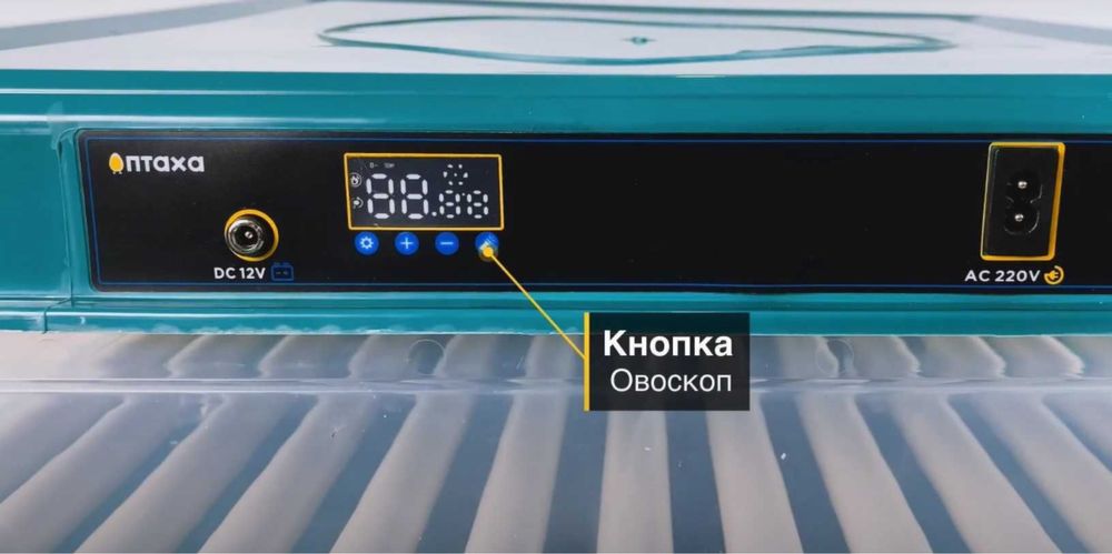 Инкубатор автоматический 12-220В Птаха Інкубатор і овоскоп