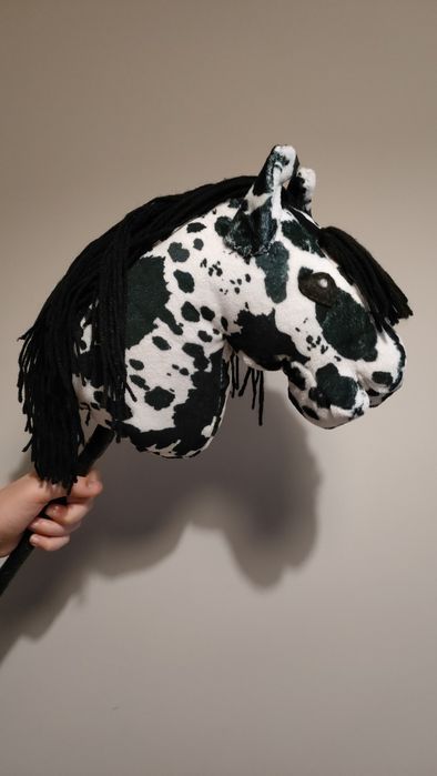 Konik hobby horse tarantowate A4