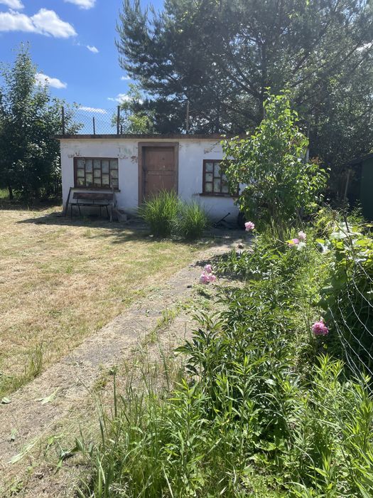 Sprzedam prawo do dzierżawy ogrodka dzialkowrgo ROD Czerwone Maki 470 m² Borowska Wroclaw Krzyki - Widok 5