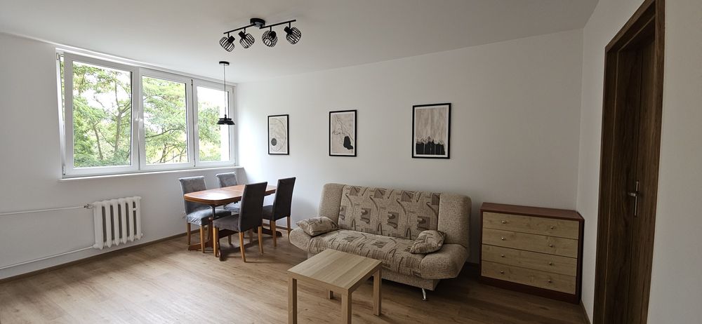 Świeżo po remoncie | 2 pokoje, osobna kuchnia i balkon | Łódź, Dąbrowa