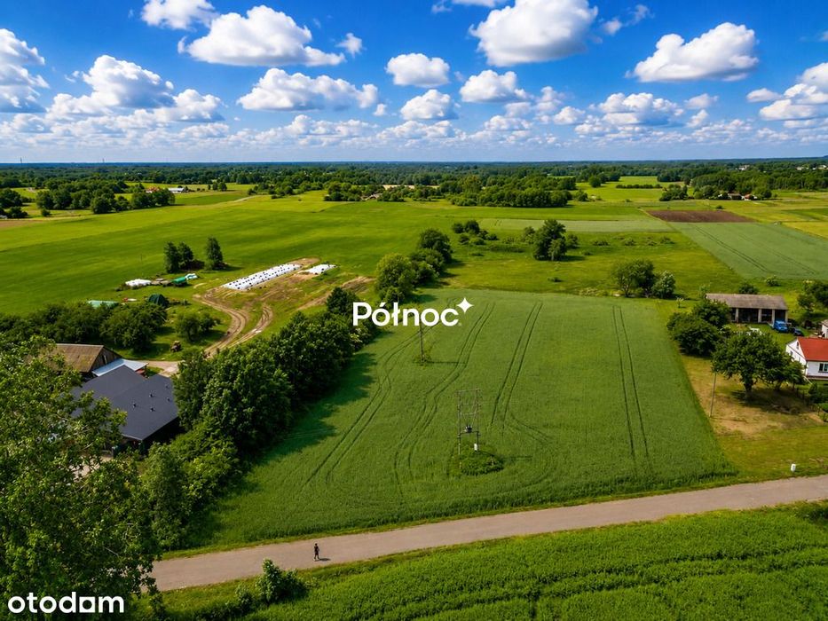 Działka w zielonej okolicy –koło Cycowa, 40 000 m² – další