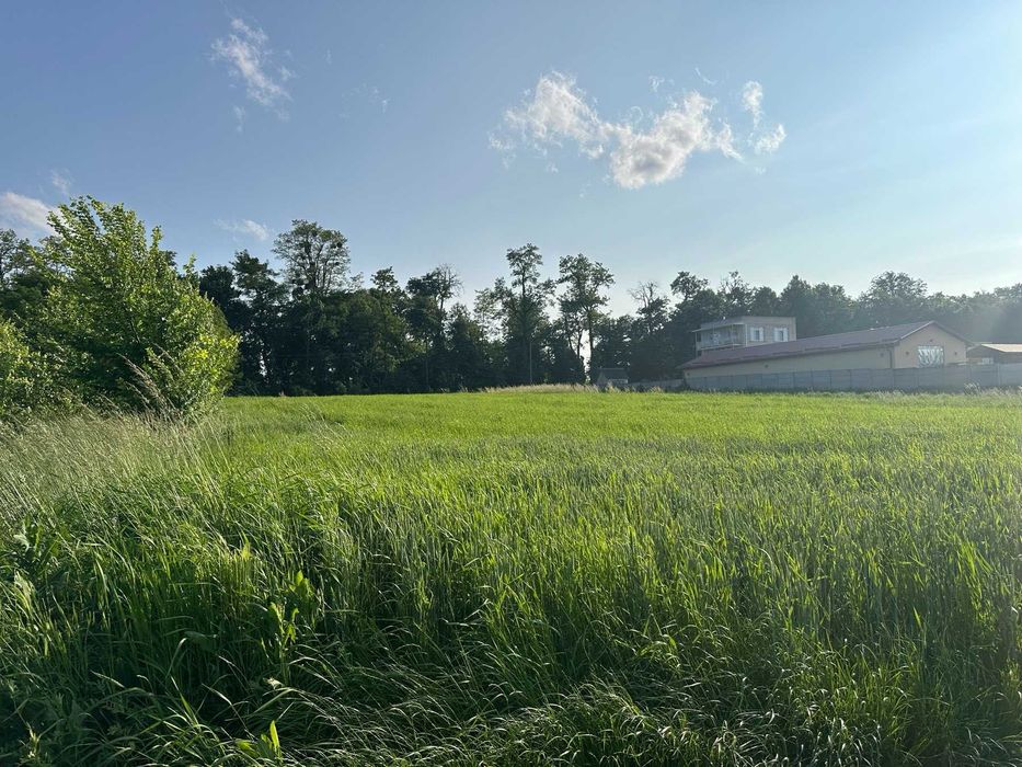 (5) Продам земельну ділянку в Лукашівці 4422