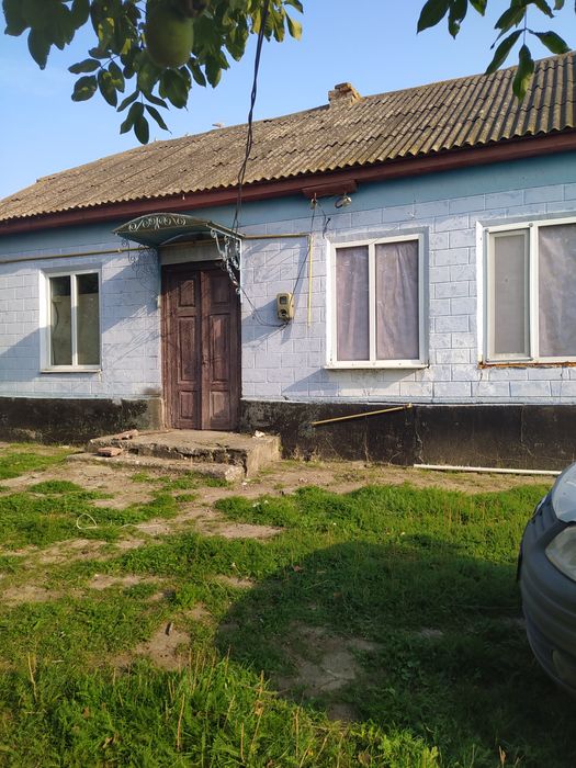 Будинок степова39