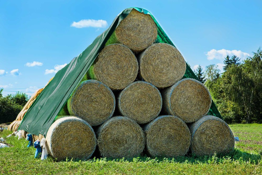 Fliz 130g/m2 NaturSorte 9,80x12,50mb