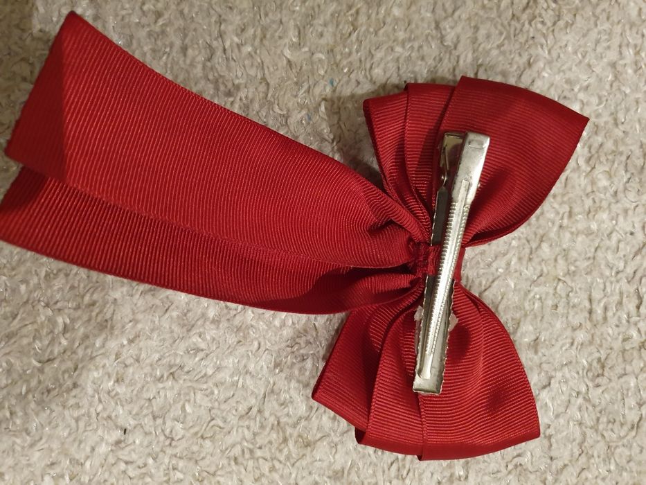 Ganchos de cabelo (vários)