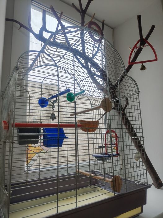 Клетка для попугаев