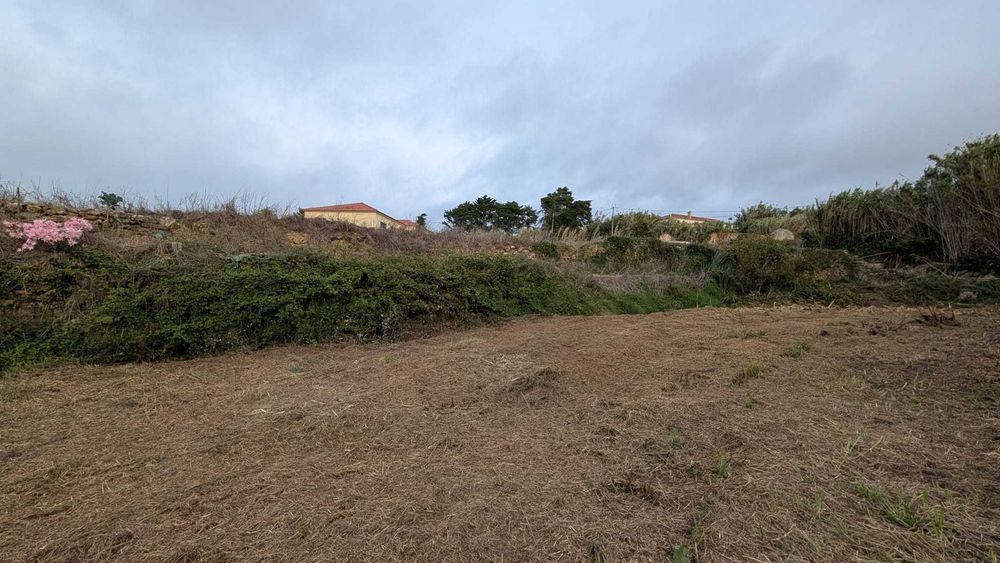 Terreno em rua da Cabeça da Mata