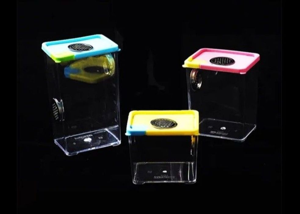 Terrarium, inkubator 
Rozmiar L 10.5x8x17cm