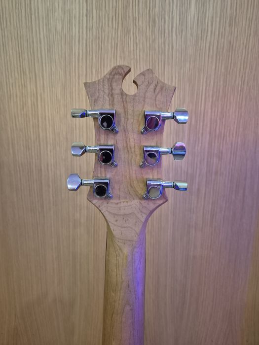 Guitarra elétrica estilo PRS + saco