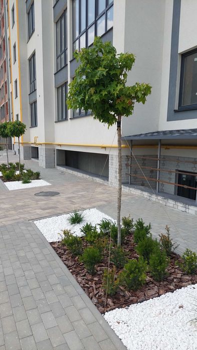 2-rooms apartment apartment by the address (area 73 m²) - Atlanta.ua - photo 5