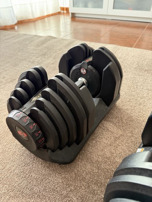 Alter Ajustável Bowflex 4kg a 41kg – Original – 100% Funcional