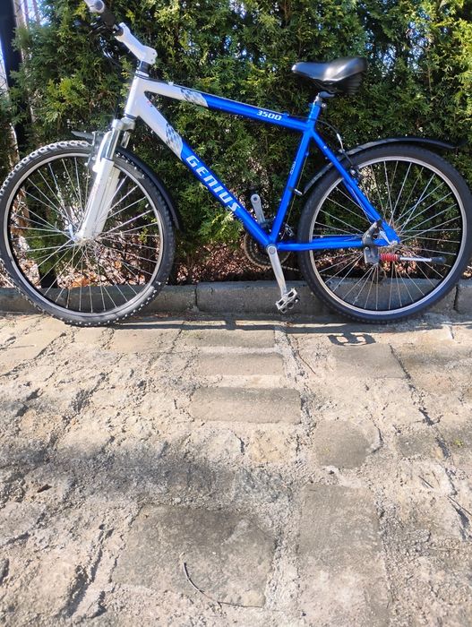 Rower górski GENIUS.