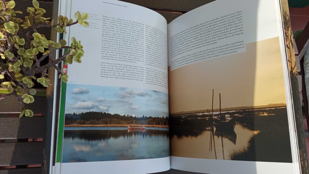 Estarreja - Património Natural