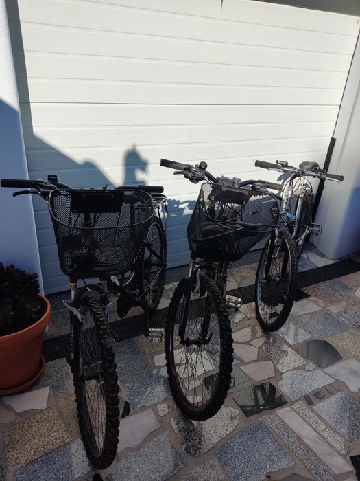 3Biciletas pelo preço de uma! Bicicletas Adulto