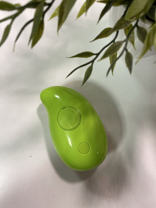 Szczotka parowa kocioszczotka:)