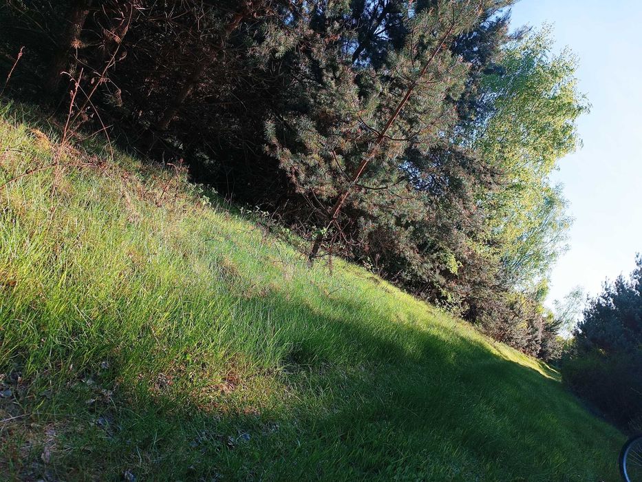 Sprzedam działkę w malowniczej okolicy - Widok 3