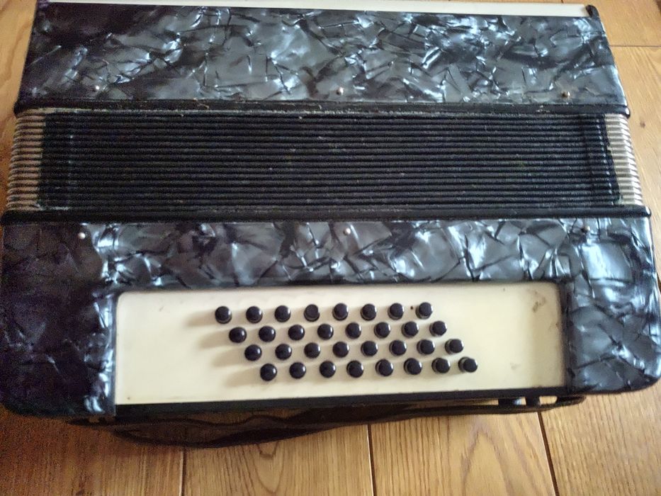 Аккордеон kingende taler