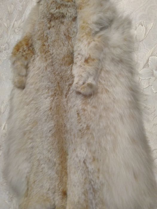 Шкура рыси росомахи медведя