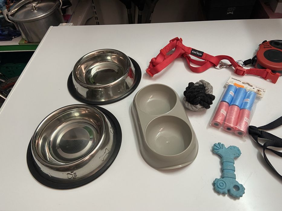 Acessorios e trelas para cao e sacos para apanhao