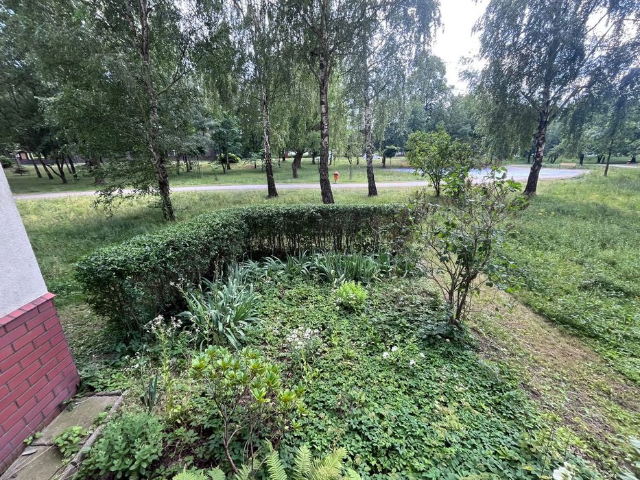 Mieszkanie – Gliwice - Więcej
