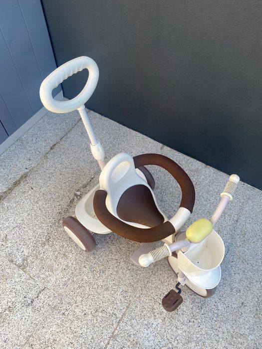 Triciclo evolutivo IIMO