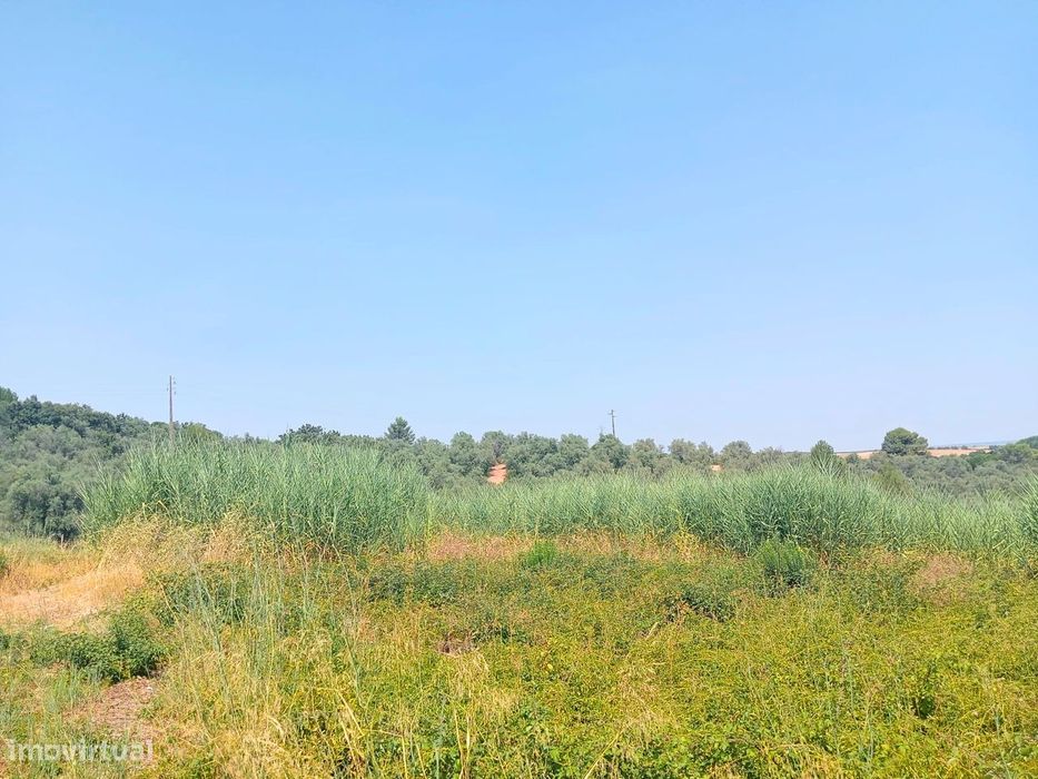 Terreno para Venda - 707 m²