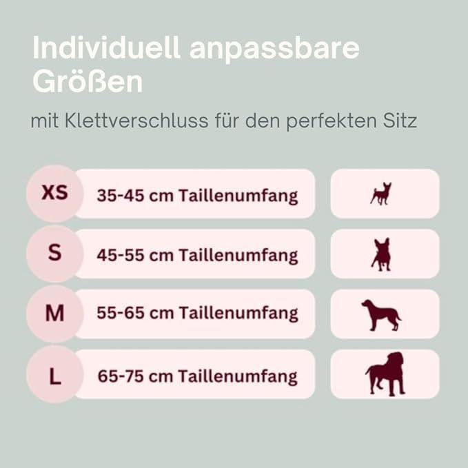 Holly Berlin рremium dog pants