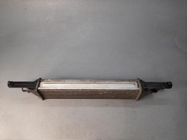 Radiador do intercooler FIAT Grande Punto (199_)