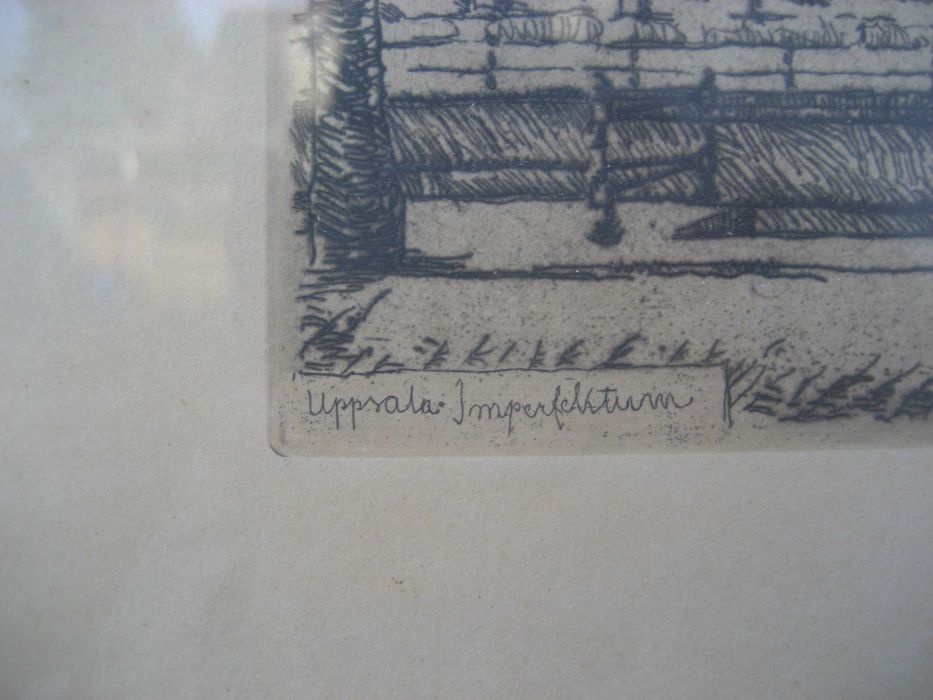 Litografia Ellis Wallin 1923 r. Oryginał Miedzioryt