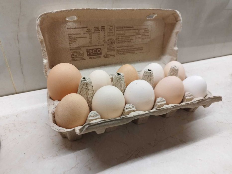 Jaja wiejskie - wolny wybieg bez paszy