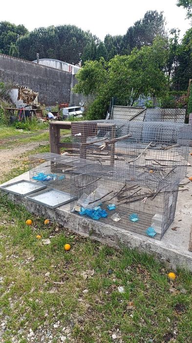 Gaiolas para aves