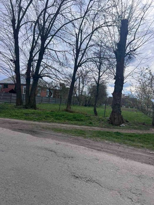 Продам земельну ділянку під забудову в Стрижавці 7218