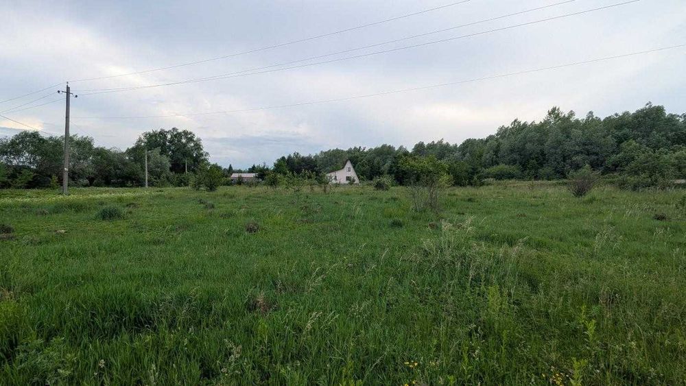 Продається ділянка 25 сот під будівництво в с. Скобичівка (12)