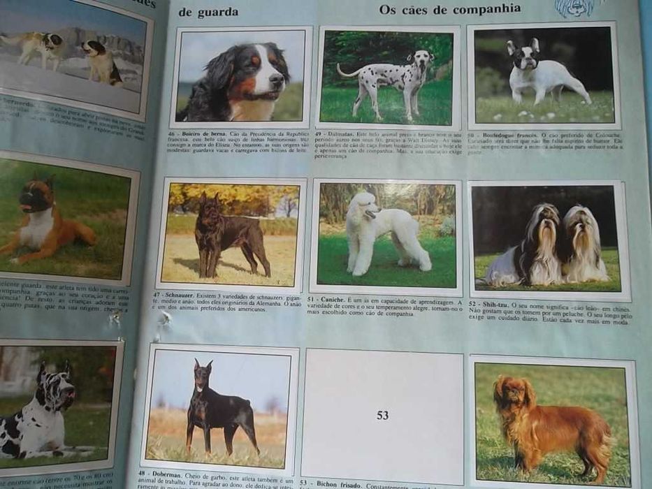 Cadernetas antigas , ver fotos e descrição para mais detalhes.