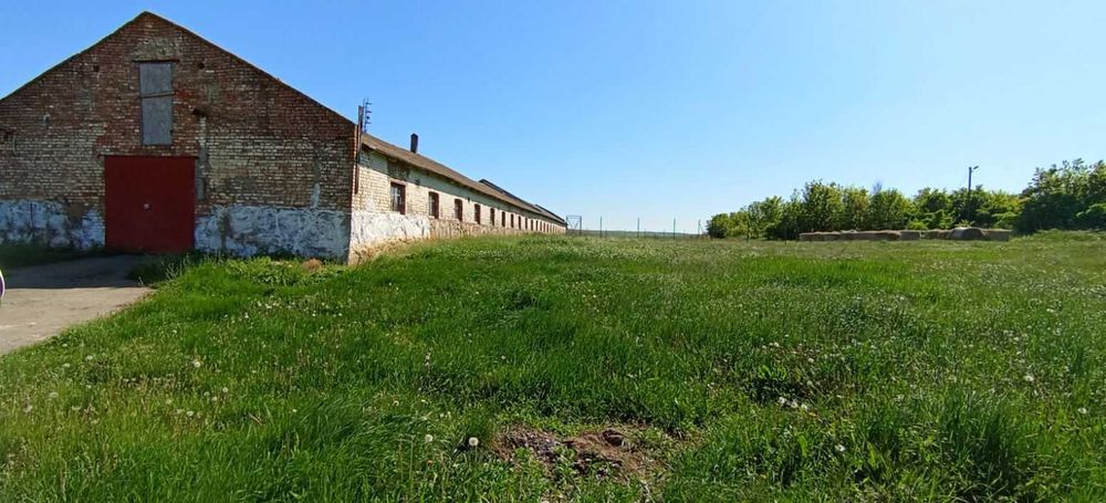 Земельна ділянка с.Піківець