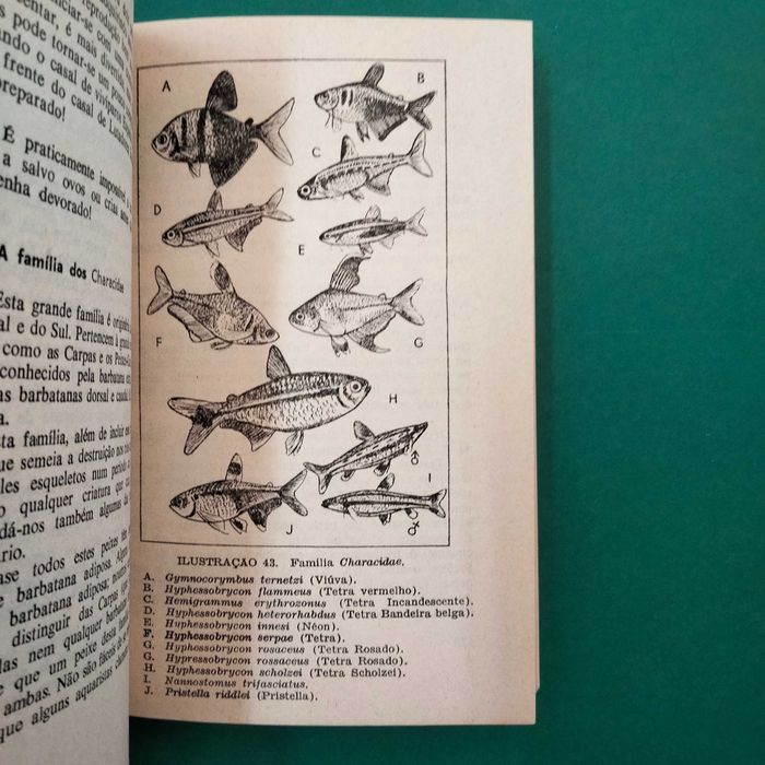 ABC do Aquário - D. Latimer-Sayer