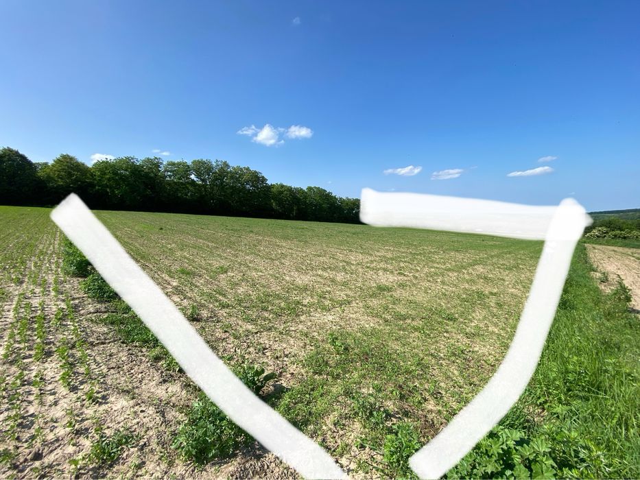 Топова земля, перша лінія, 50соток +