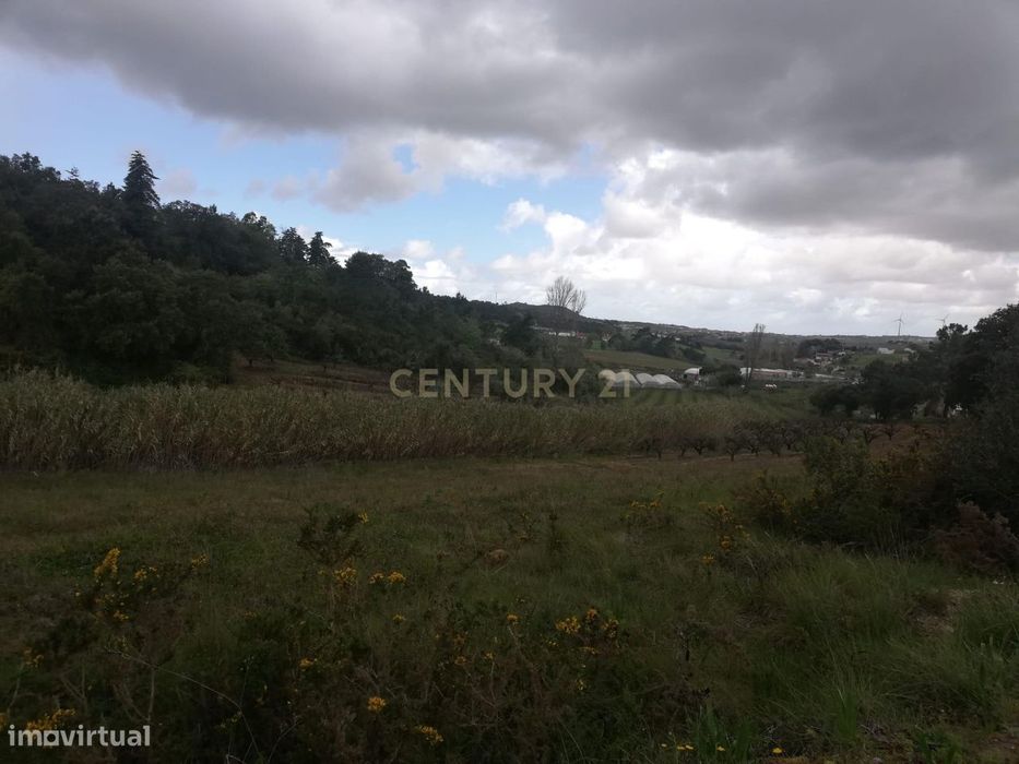 Terreno Agrícola na Zona Oeste — Freiria, Lisboa