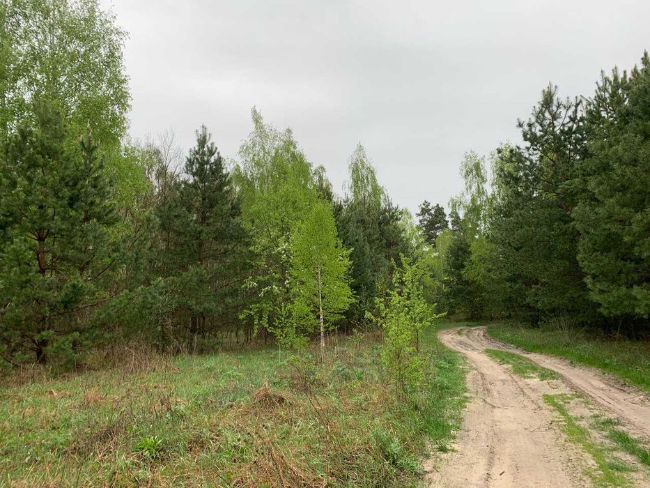 Земельна ділянка під садівництво. Здвижівка. 12 соток.