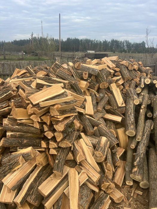 Продам дрова твердих порід: дуб, граб, акація, береза , вільха, сосна