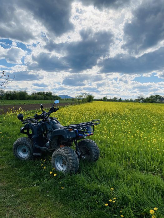Квадроцик Spark SP250-4
