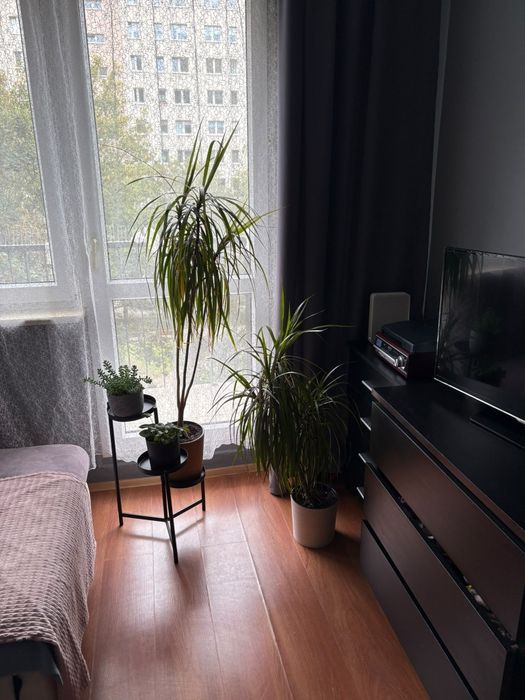 Kawalerka z oddzielną kuchnią