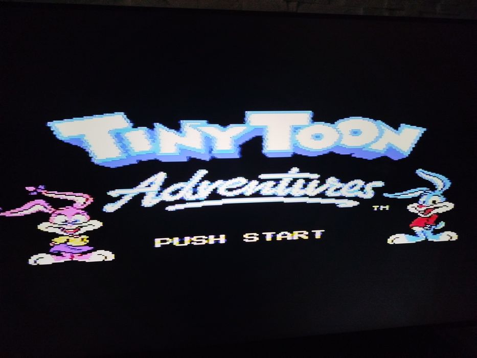 Gra Pegasus Tiny Toon