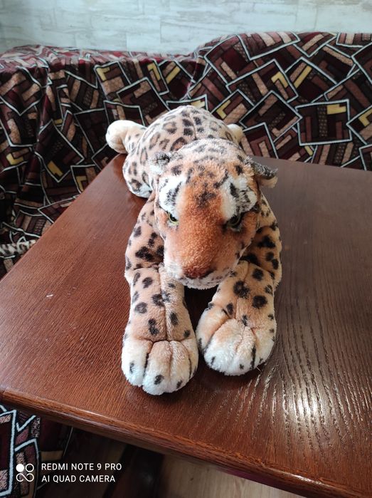 Продам красивого тигрёнка