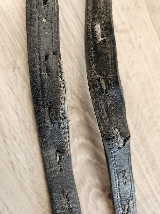 Puśliska ujeżdżeniowe, wzmacniane taśmą, 70cm