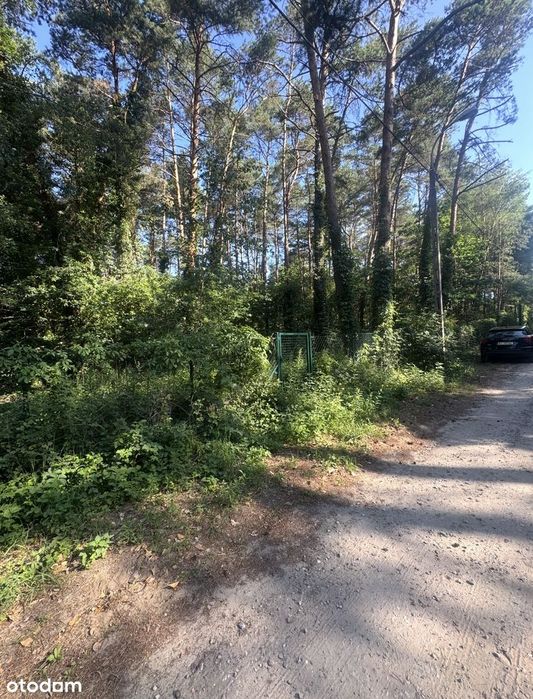 Najpiękniejsza działka w okolicy! Miejsce na Twój dom - Widok 4